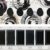 Kuretake Gansai Tambi SUMI Colors, 6 Color Set, Watercolor Paint set, Ideal for Calligraphy, Illustrations, Brush Lettering, Fineart and more, Black Sumi Ink color, Made in Japan